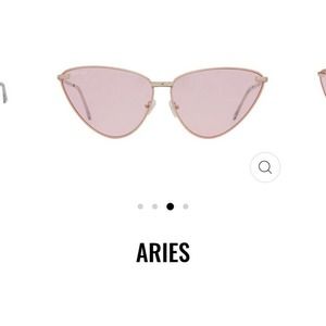 Sunglasses Thomas James LA by Perverse Stainless Steel Copper in Aries 01 Pink